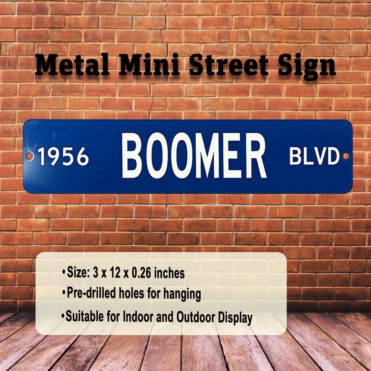Custom Boomer Blvd Mini Street Sign