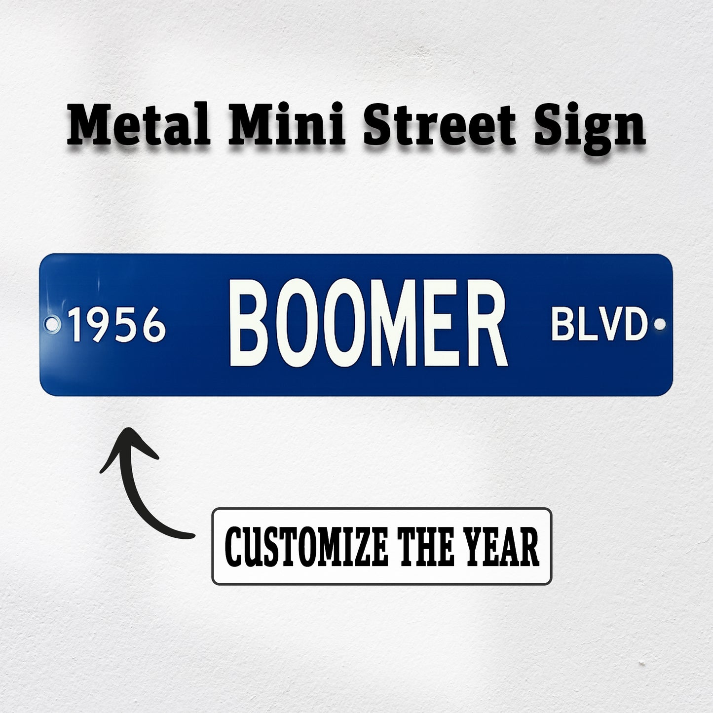 Custom Boomer Blvd Mini Street Sign