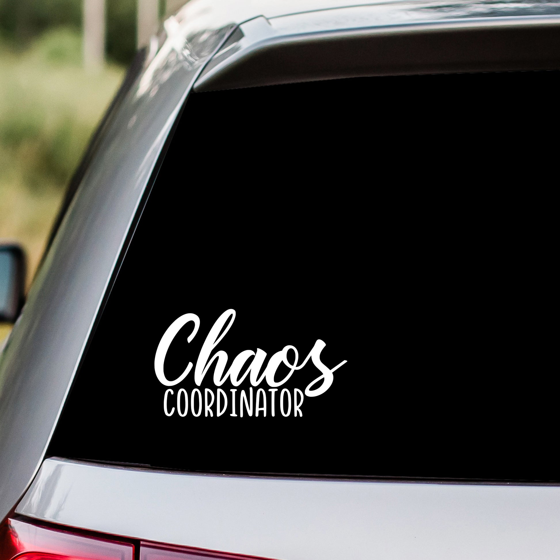 Chaos Coordinator Decal