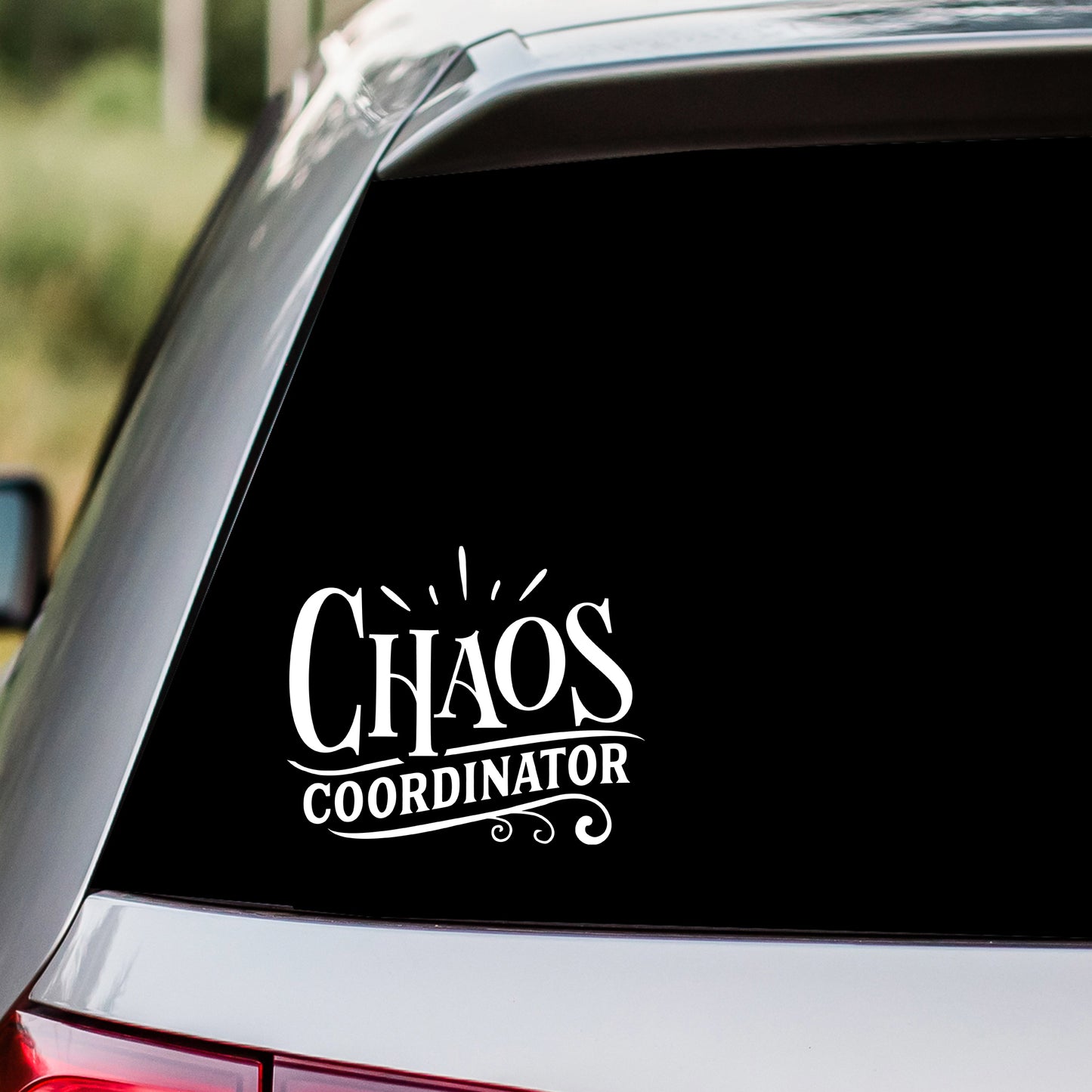 Chaos Coordinator 2 Decal