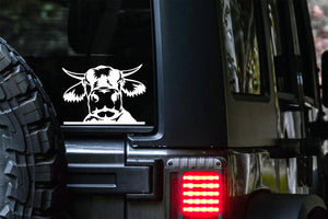 Peeking Cow with Horns Decal
