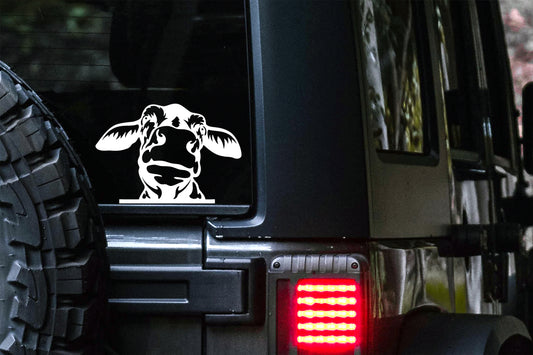 Peeking Cow Decal