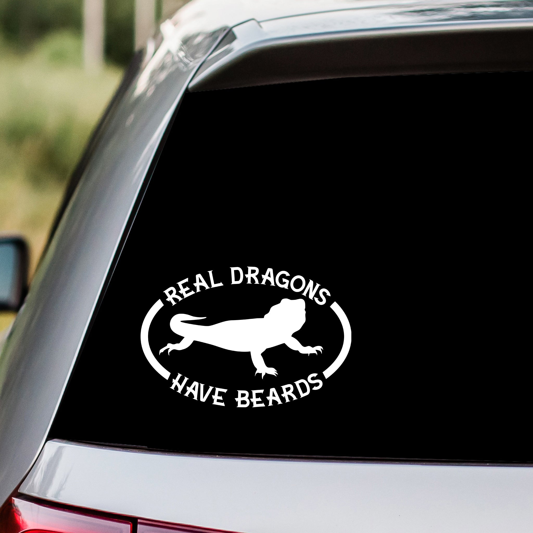 Real Dragons Have Beards